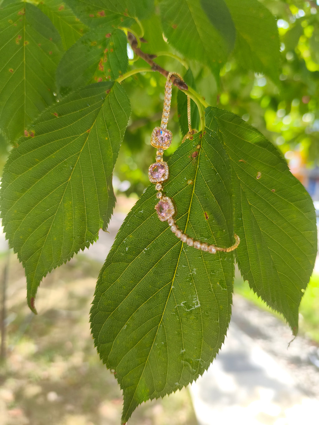 Rosy Gleam