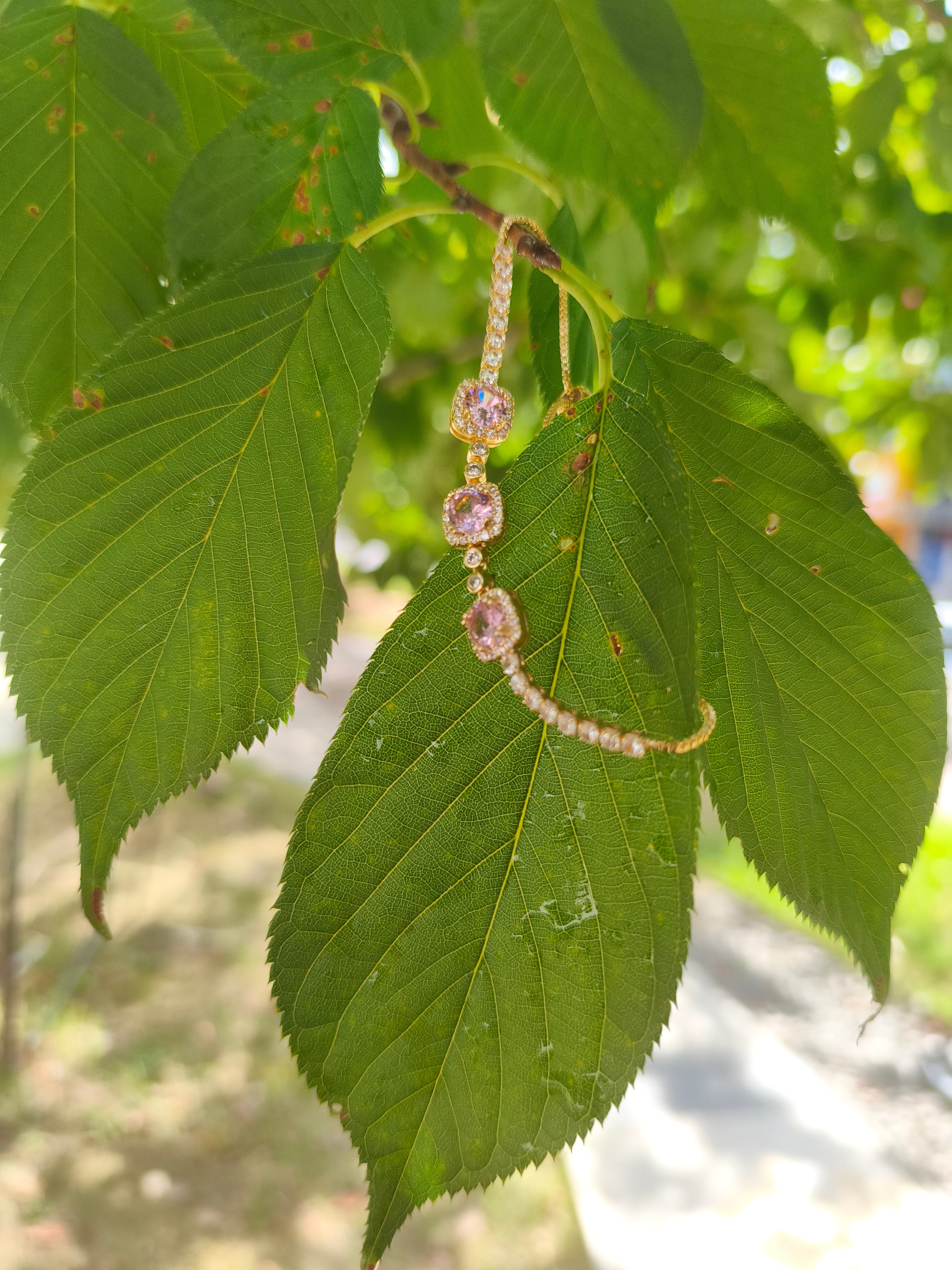 Rosy Gleam